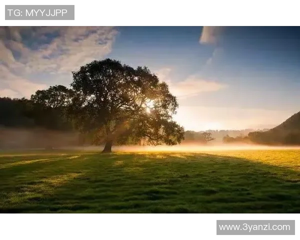 刘铮的奋斗与坚持：从篮球场到人生舞台的精彩旅程