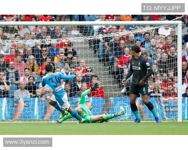 日本与比利时精彩对决录像回放分析与精彩瞬间集锦